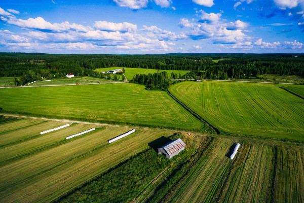 Segregar Fincas · Topógrafos para Servicios Topográficos y Geomáticos Puerto Real